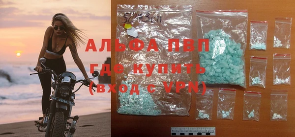 дживик Касимов