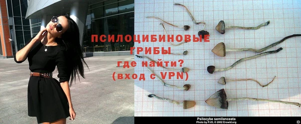 ГАЛЛЮЦИНОГЕННЫЕ ГРИБЫ Киренск