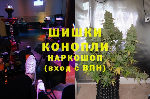 ГАЛЛЮЦИНОГЕННЫЕ ГРИБЫ Киренск