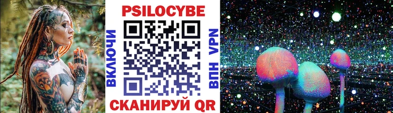 Купить  Гагарин  Псилоцибиновые грибы Psilocybe 
